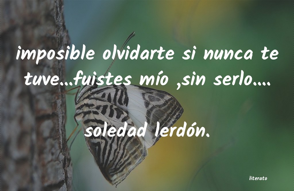 frases de soledad lerdón.