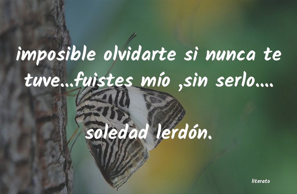 Frases de soledad lerdón.