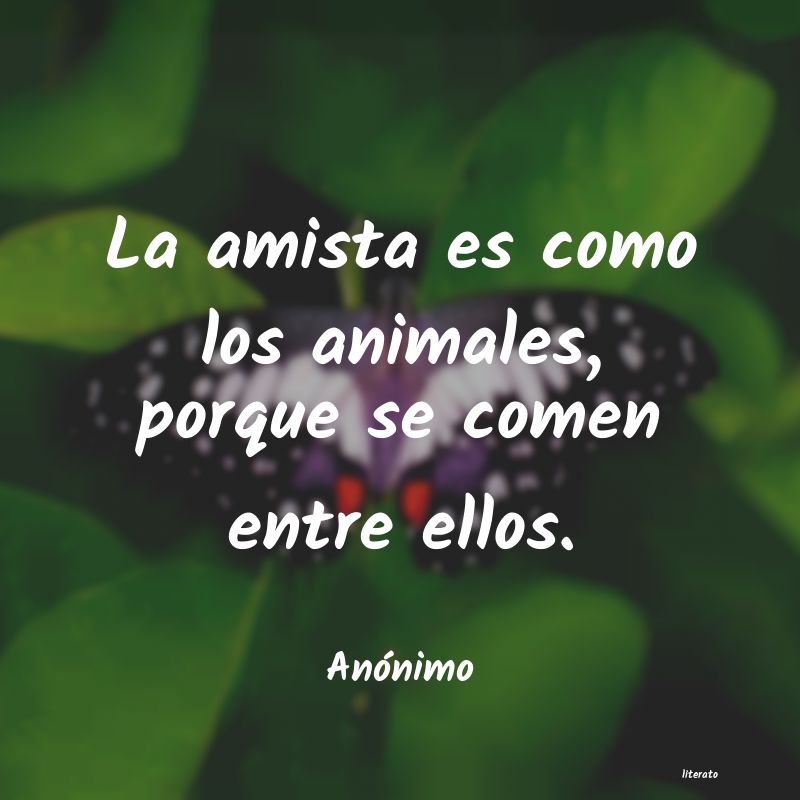 frases