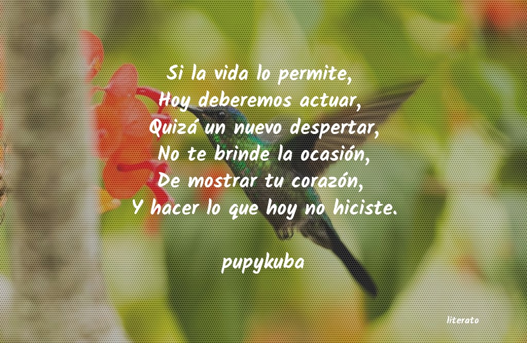 frases de pupykuba
