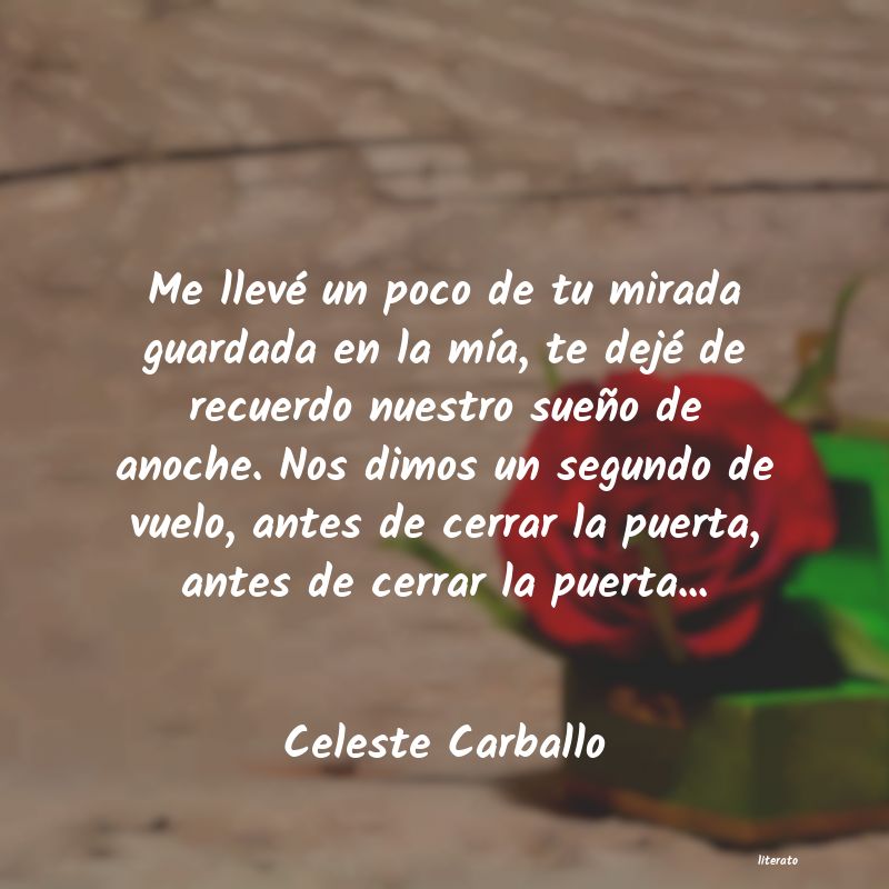 Frases de Celeste Carballo