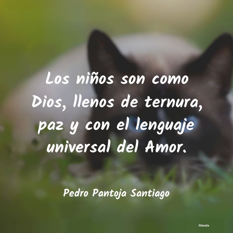 Frases de Pedro Pantoja Santiago