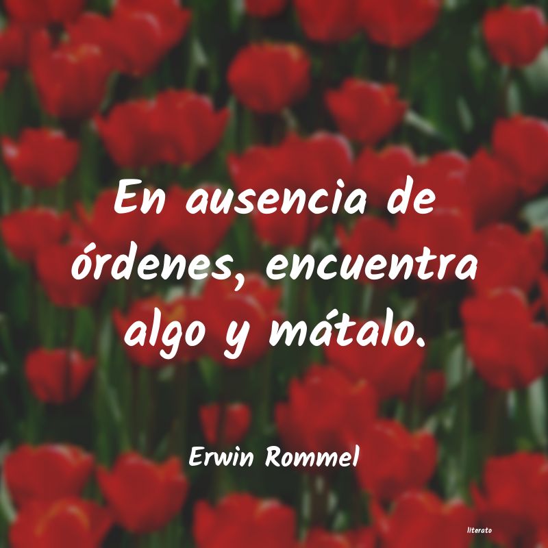 frases de Erwin Rommel