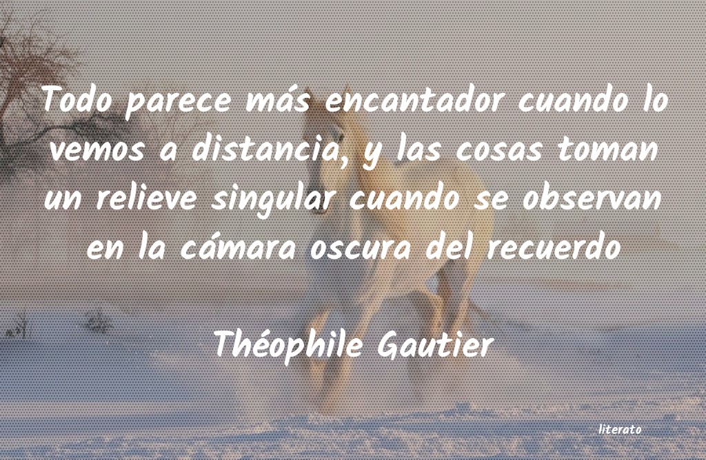 frases de Théophile Gautier