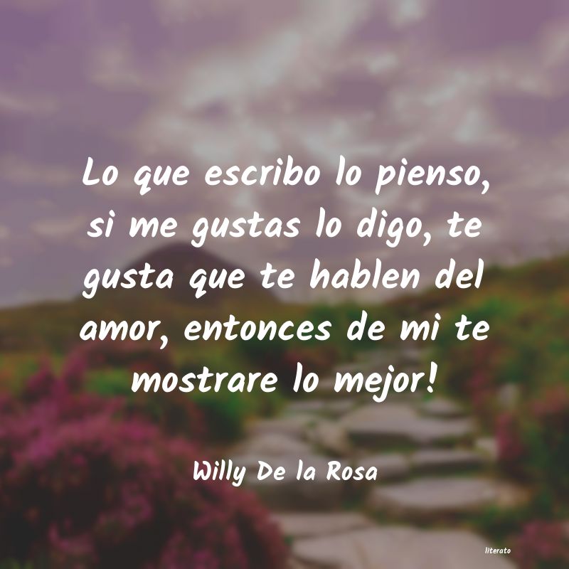 Frases de Willy De la Rosa