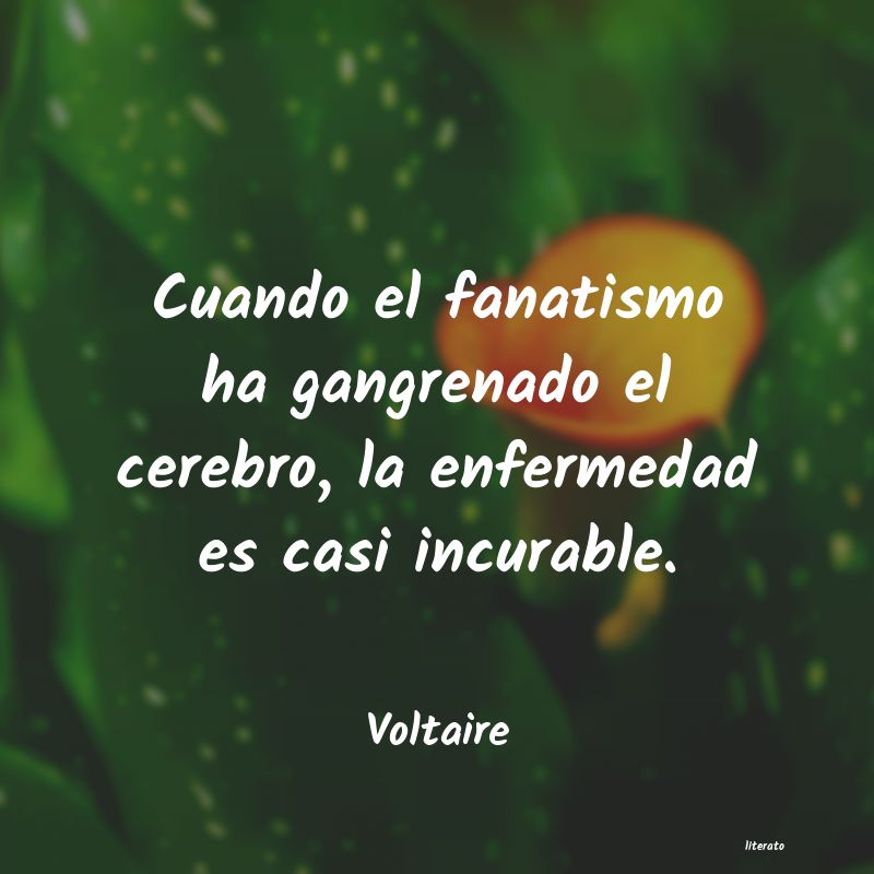 Frases de Voltaire