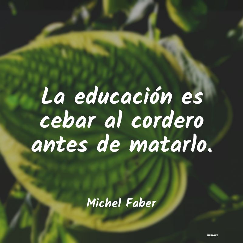frases de Michel Faber
