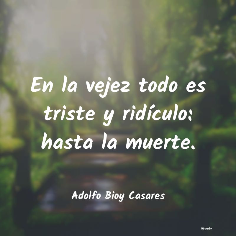 Frases de Adolfo Bioy Casares