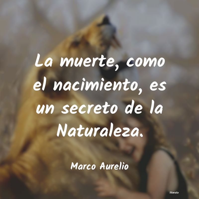 frases de Marco Aurelio