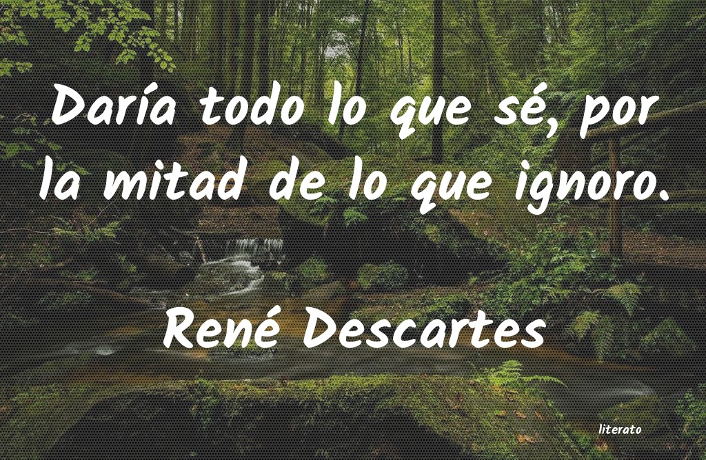 frases de René Descartes