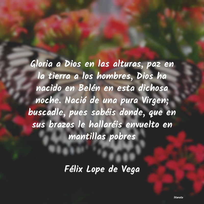 Frases de Félix Lope de Vega