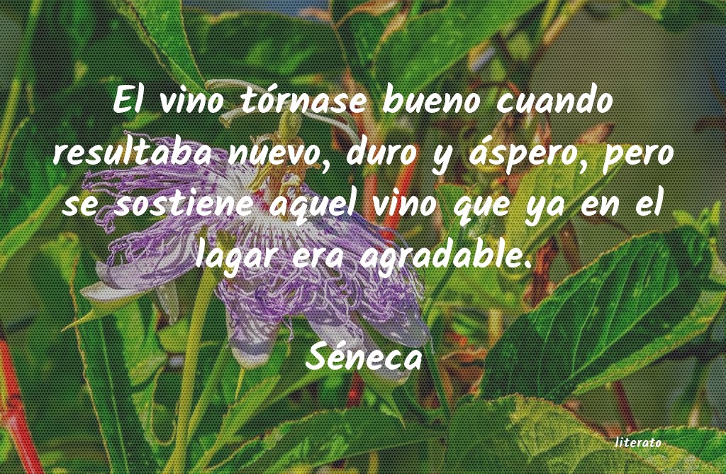 frases de SÃ©neca