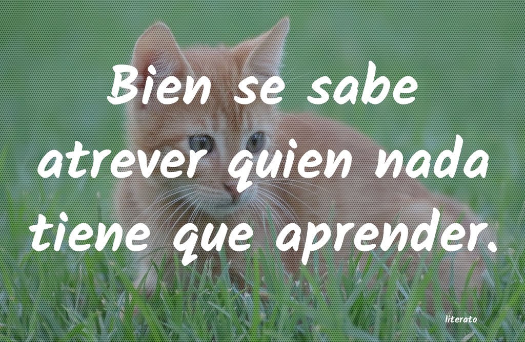 frases