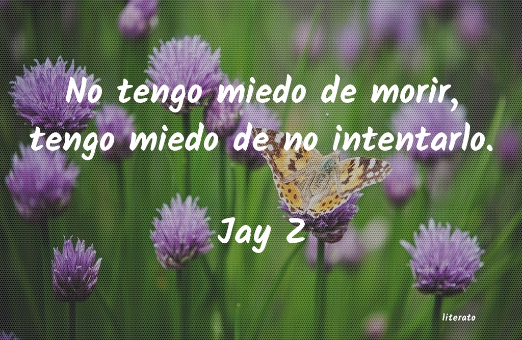 Frases de Jay Z