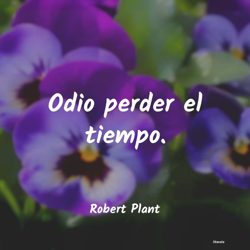 Frases de Robert Plant