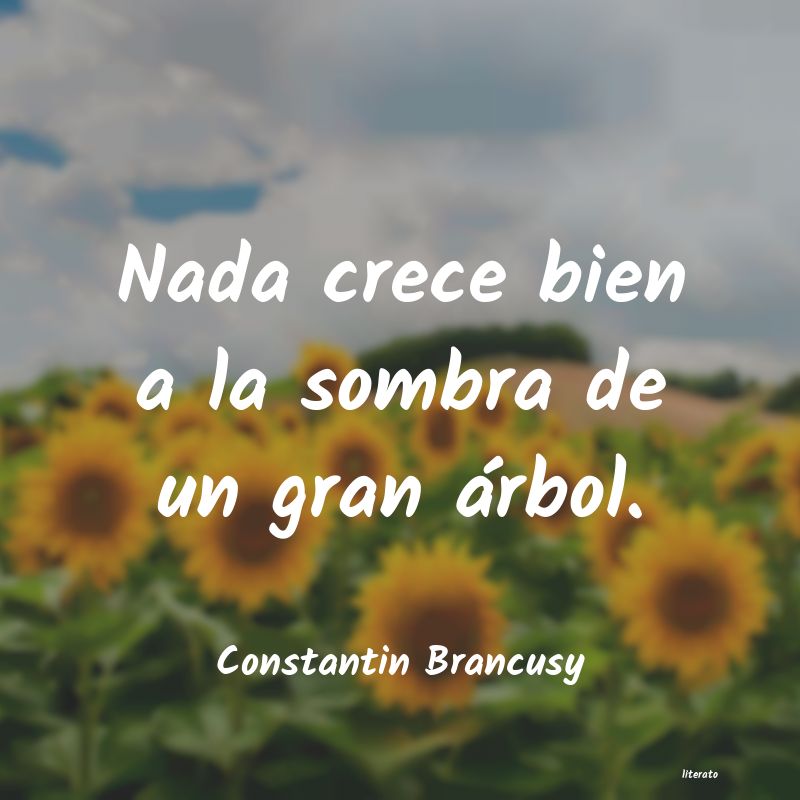 Frases de Constantin Brancusy