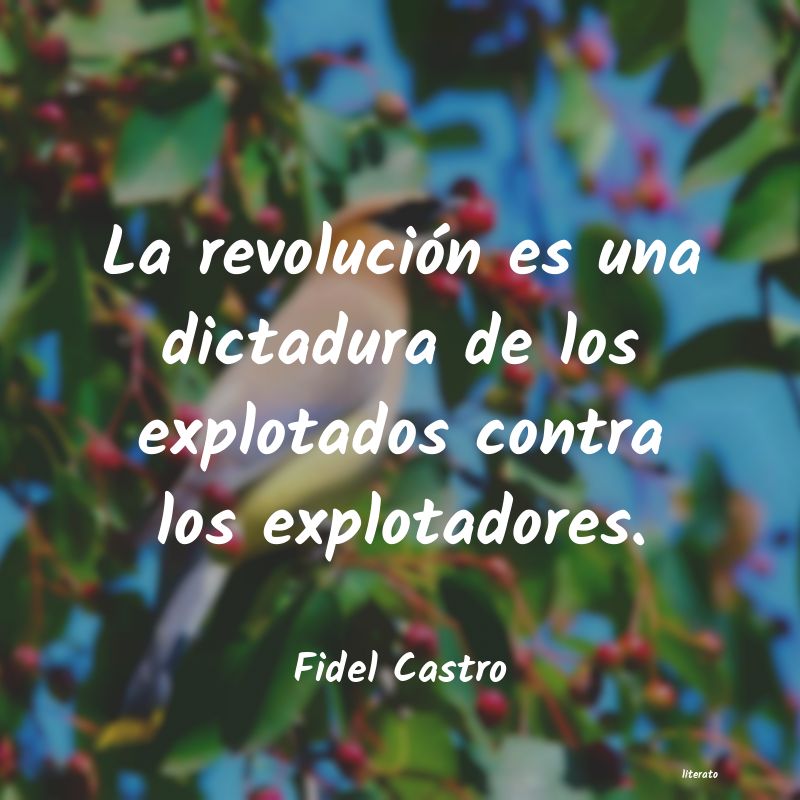 frases de Fidel Castro