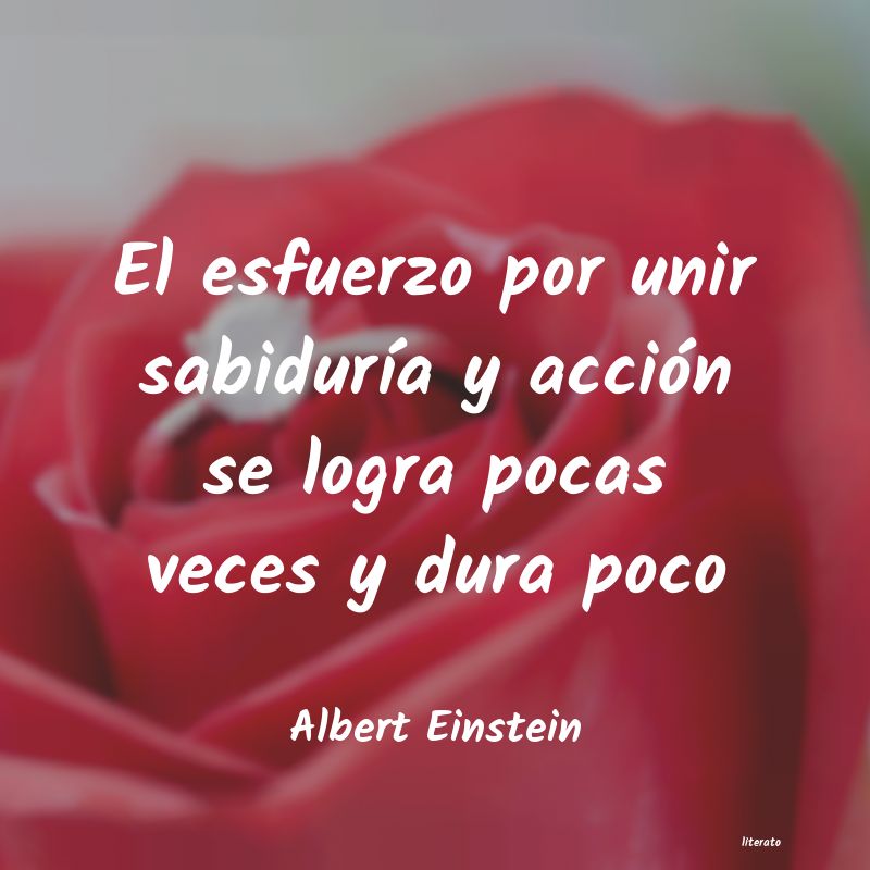 frases de Albert Einstein
