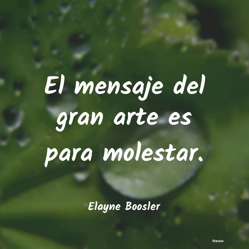 frases de Elayne Boosler