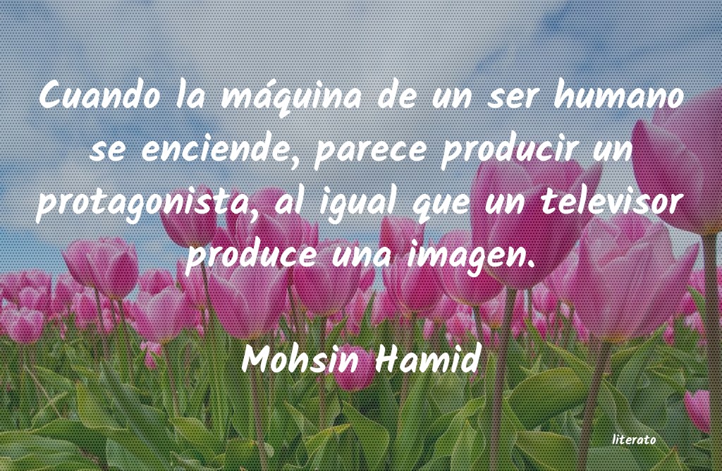 Frases de Mohsin Hamid