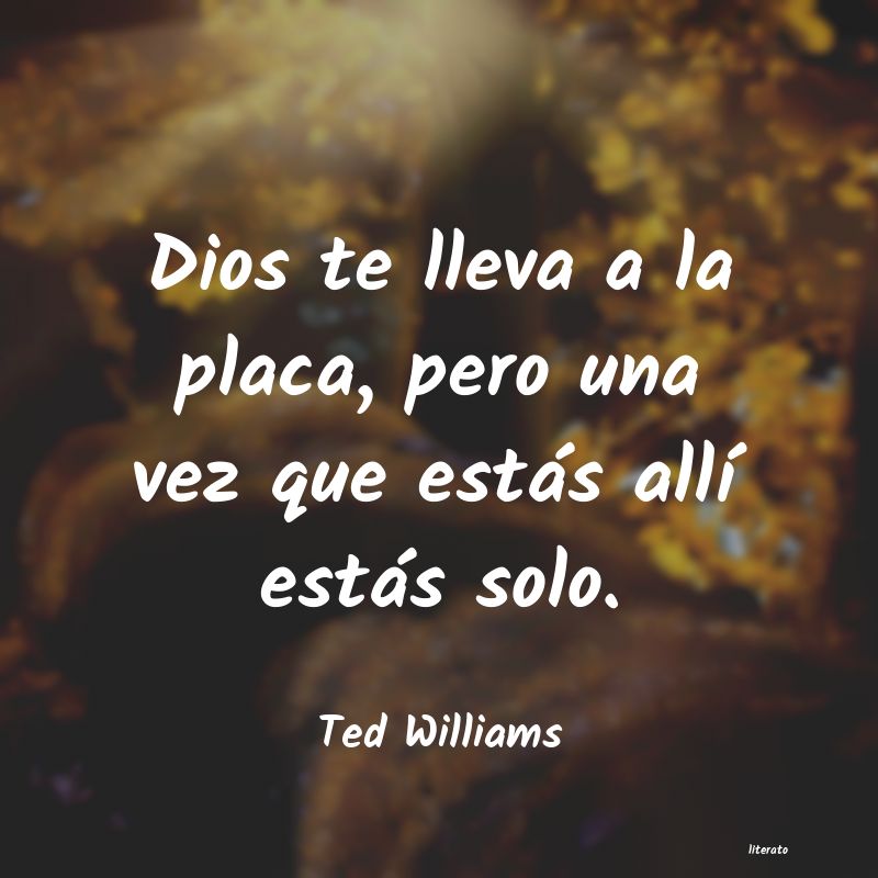 frases de Ted Williams