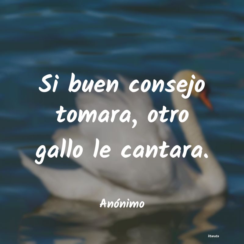 frases