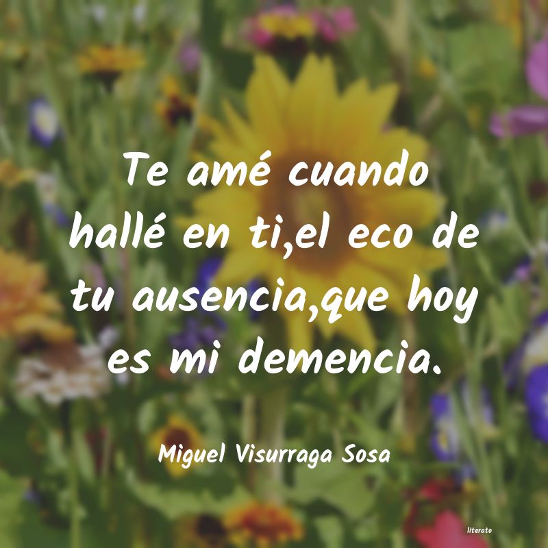 frases de Miguel Visurraga Sosa