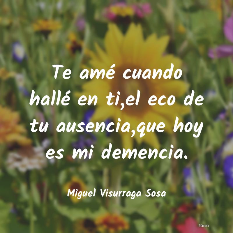 Frases de Miguel Visurraga Sosa