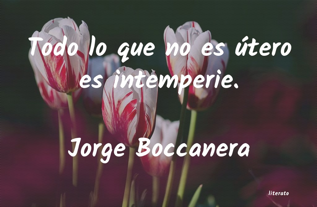 Frases de Jorge Boccanera