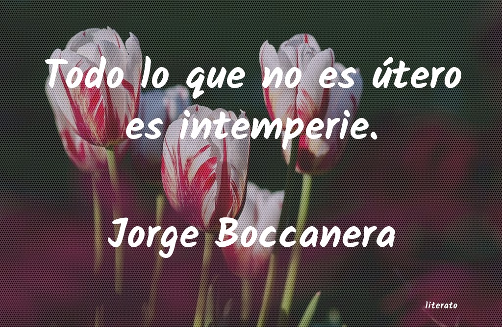 frases de Jorge Boccanera