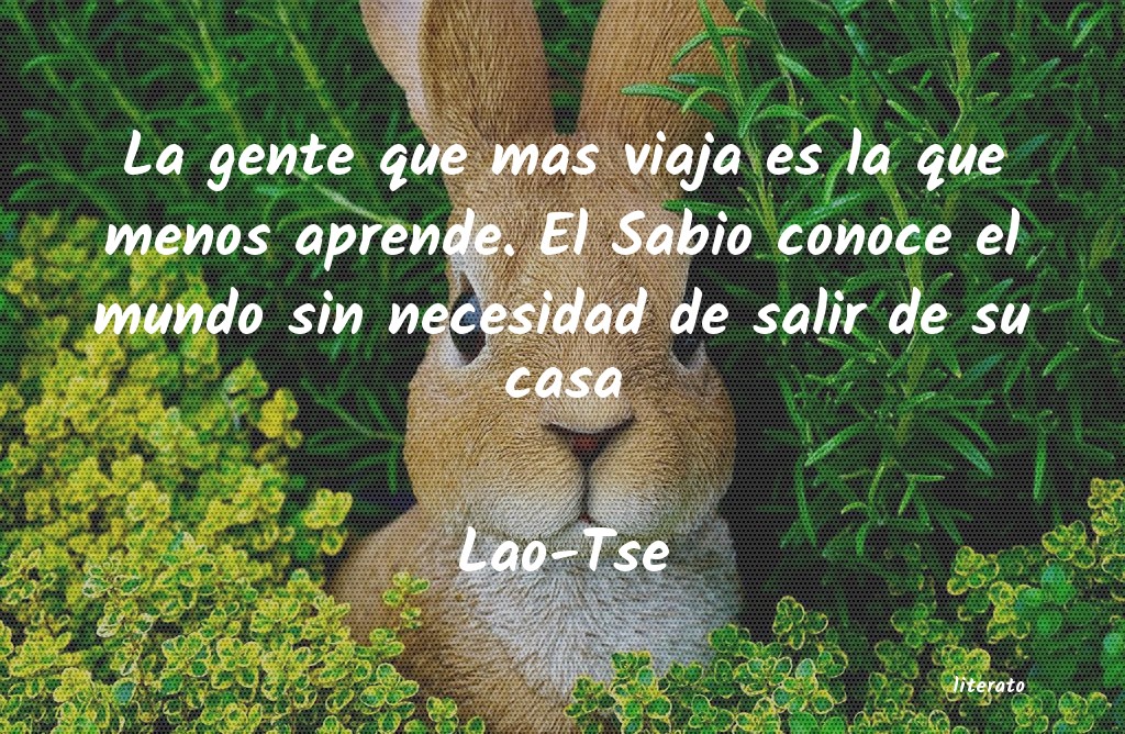 Frases de Lao-Tse