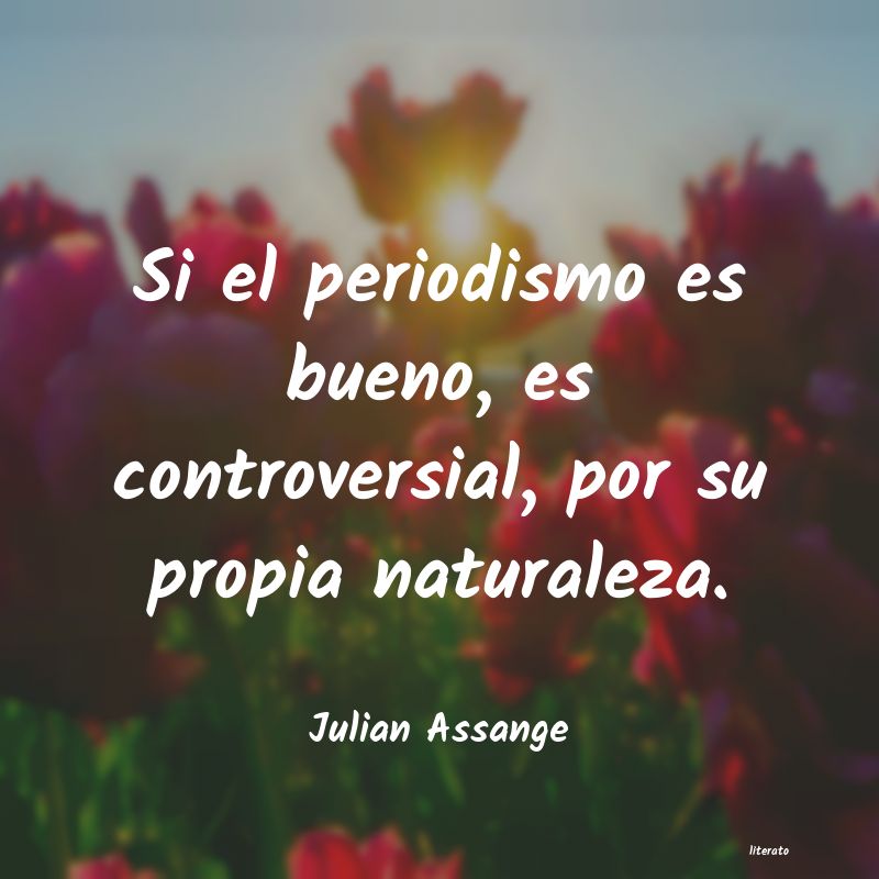 frases de Julian Assange