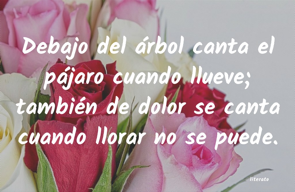 frases