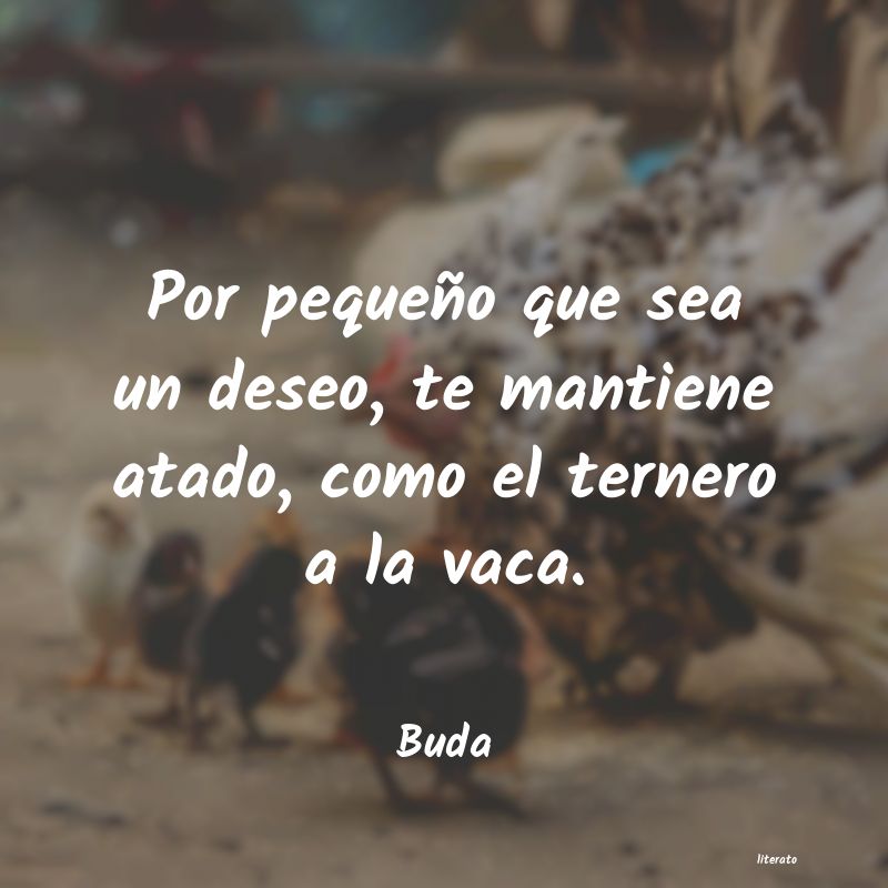 Frases de Buda