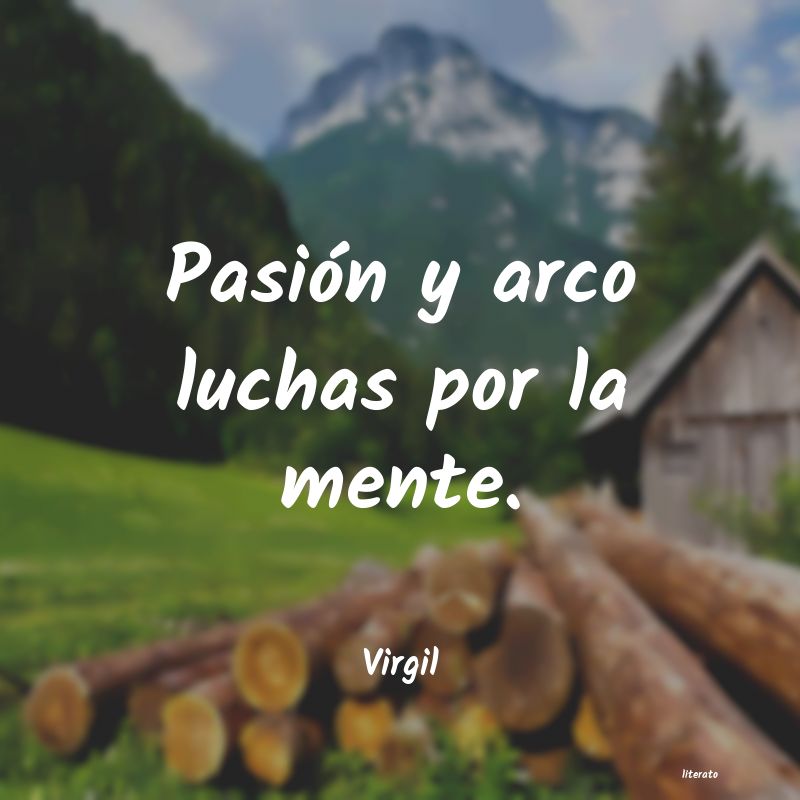 Frases de Virgil