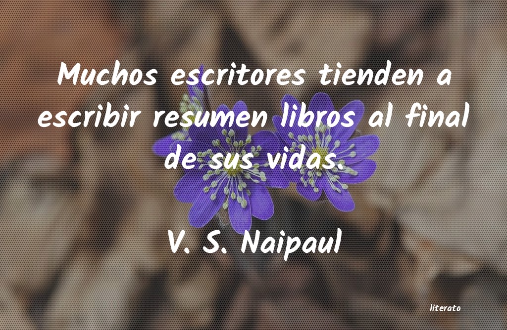 frases de V. S. Naipaul
