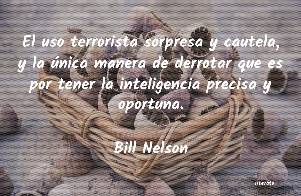 Frases de Bill Nelson