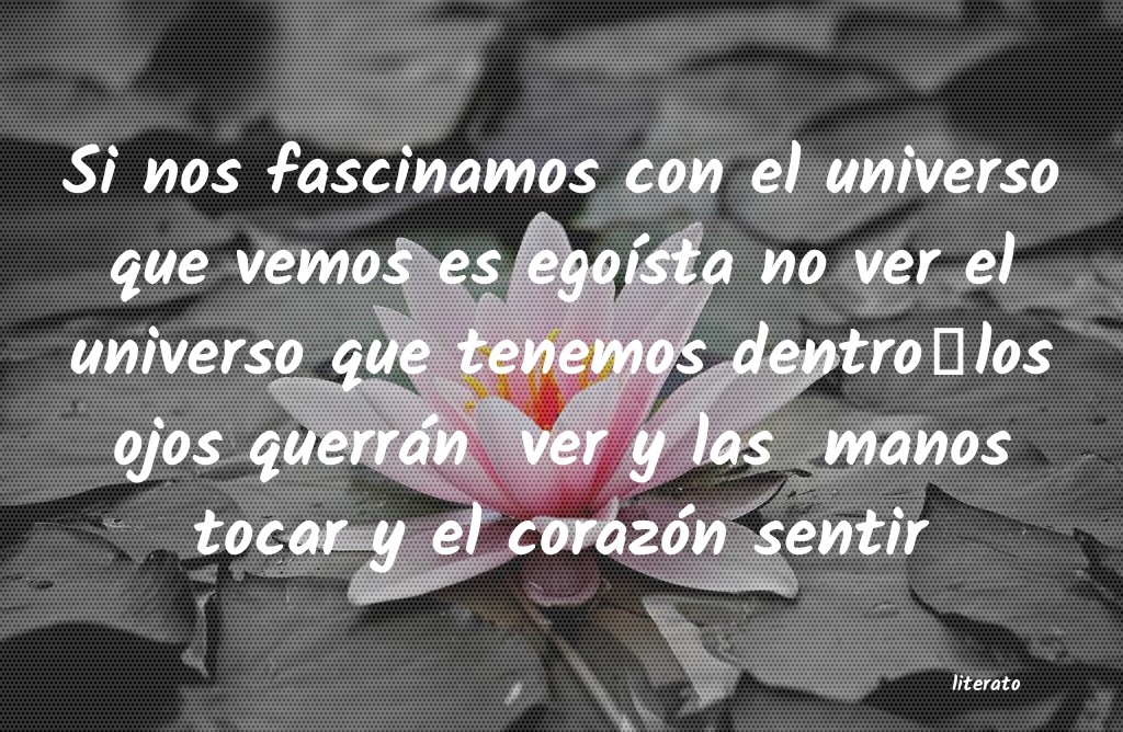 frases