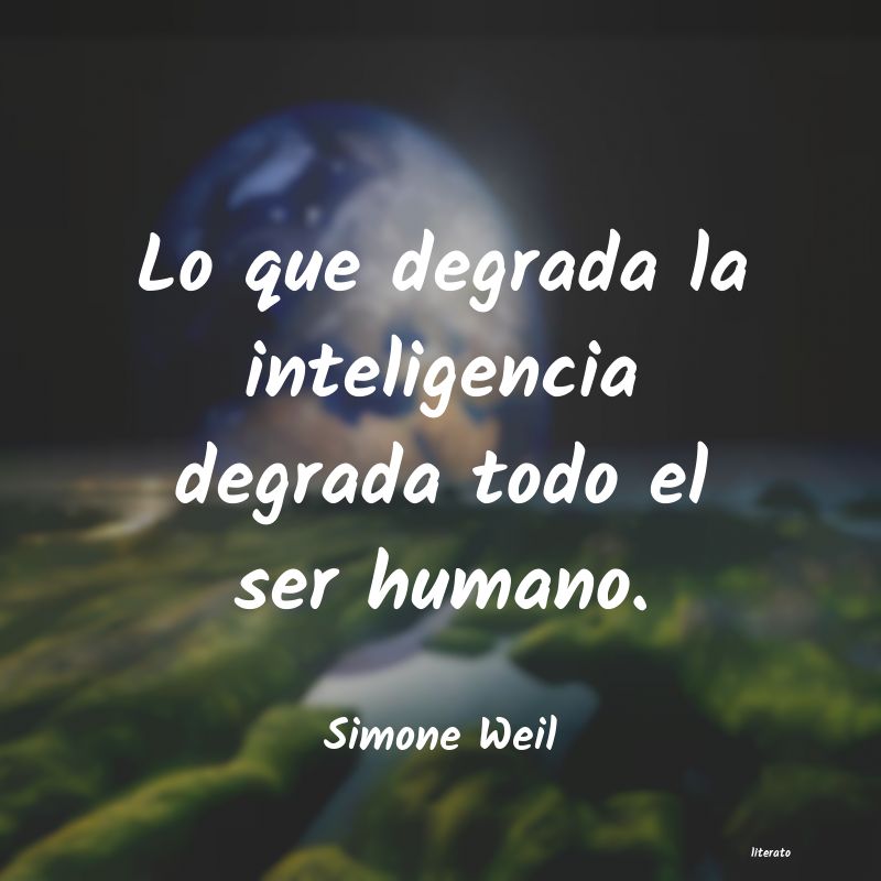 frases de Simone Weil