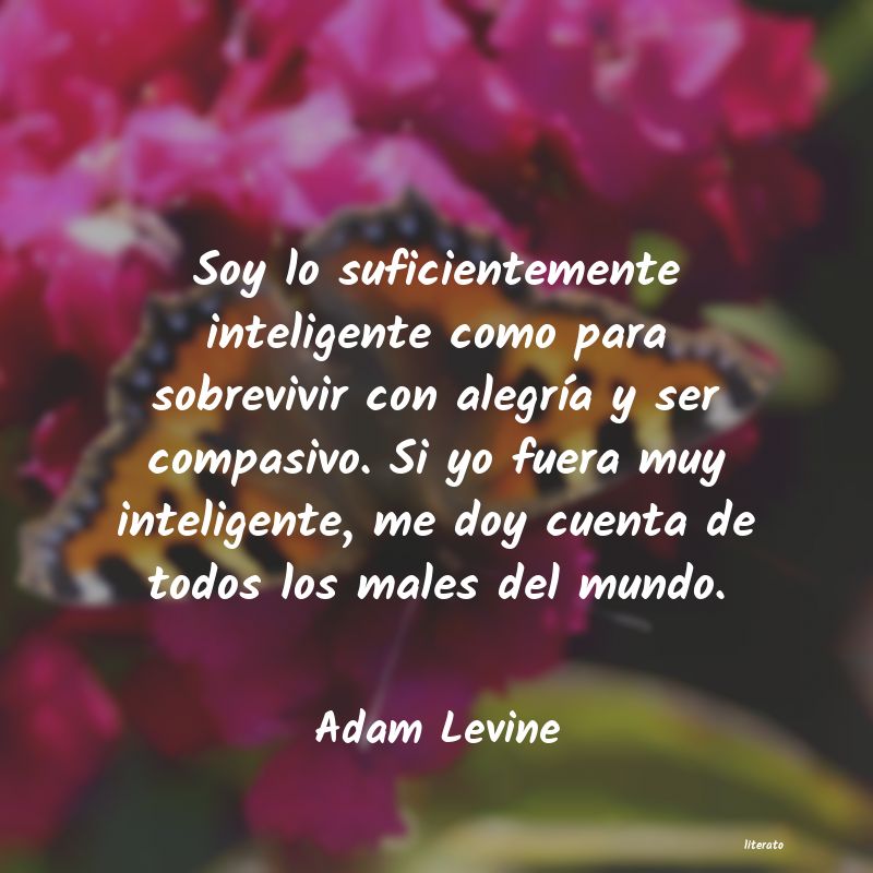 Frases de Adam Levine