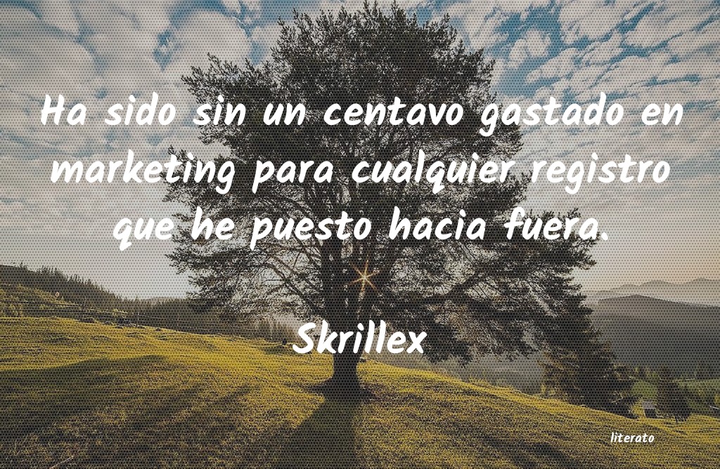 Frases de Skrillex