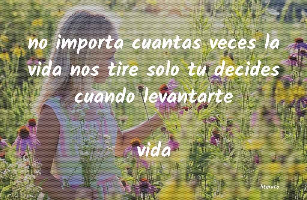 frases de vida