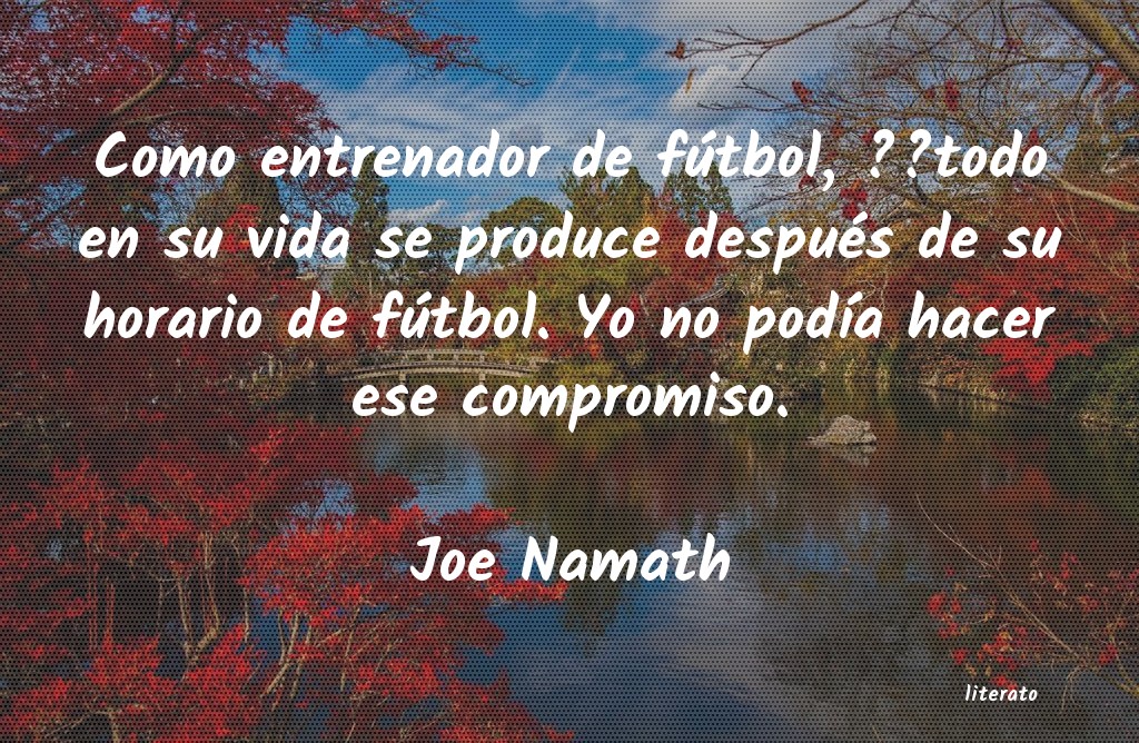 Frases de Joe Namath