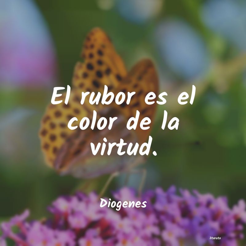 frases de Diogenes