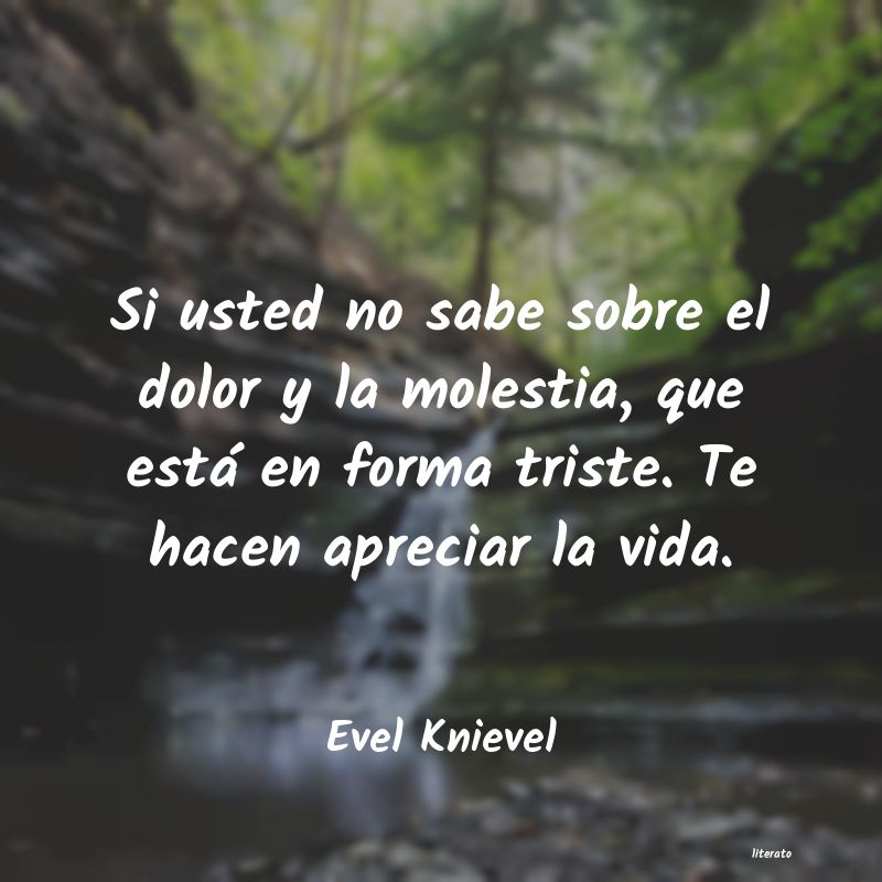 Frases de Evel Knievel