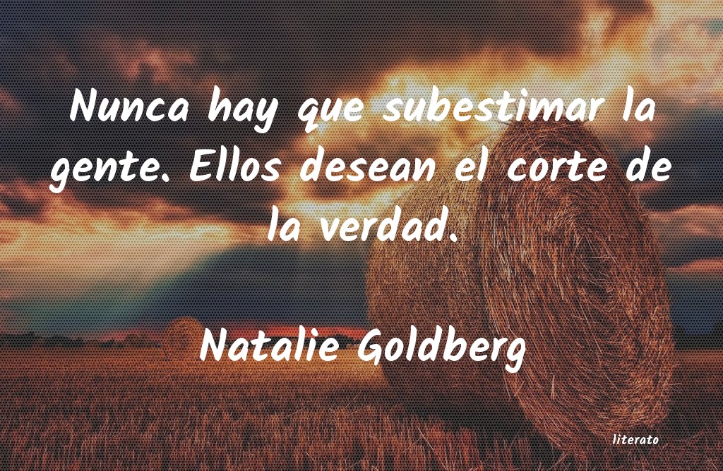 frases de Natalie Goldberg