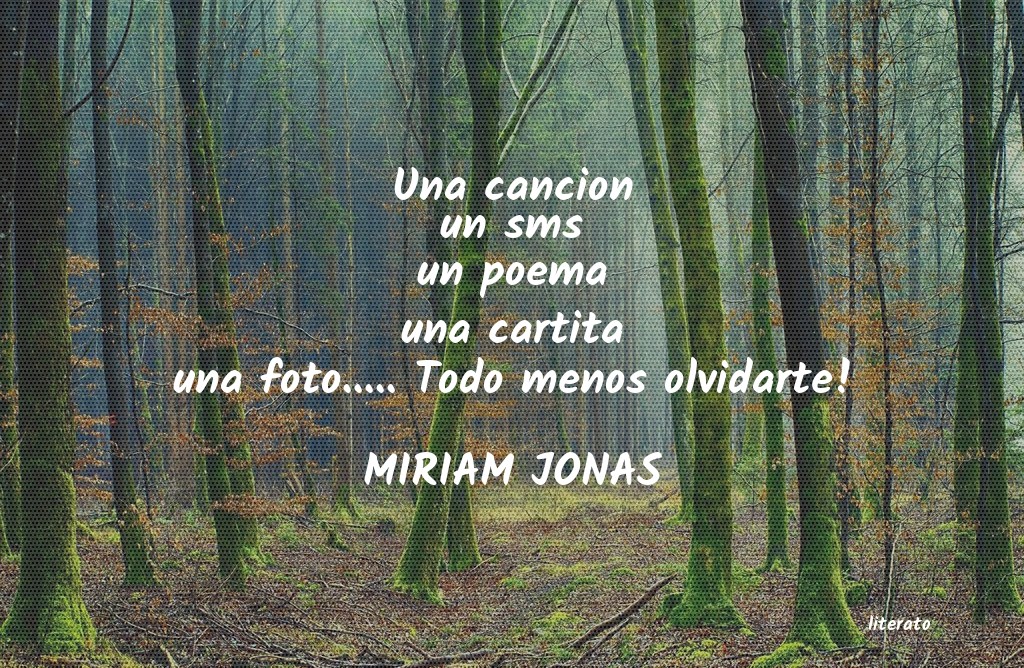 Frases de MIRIAM JONAS