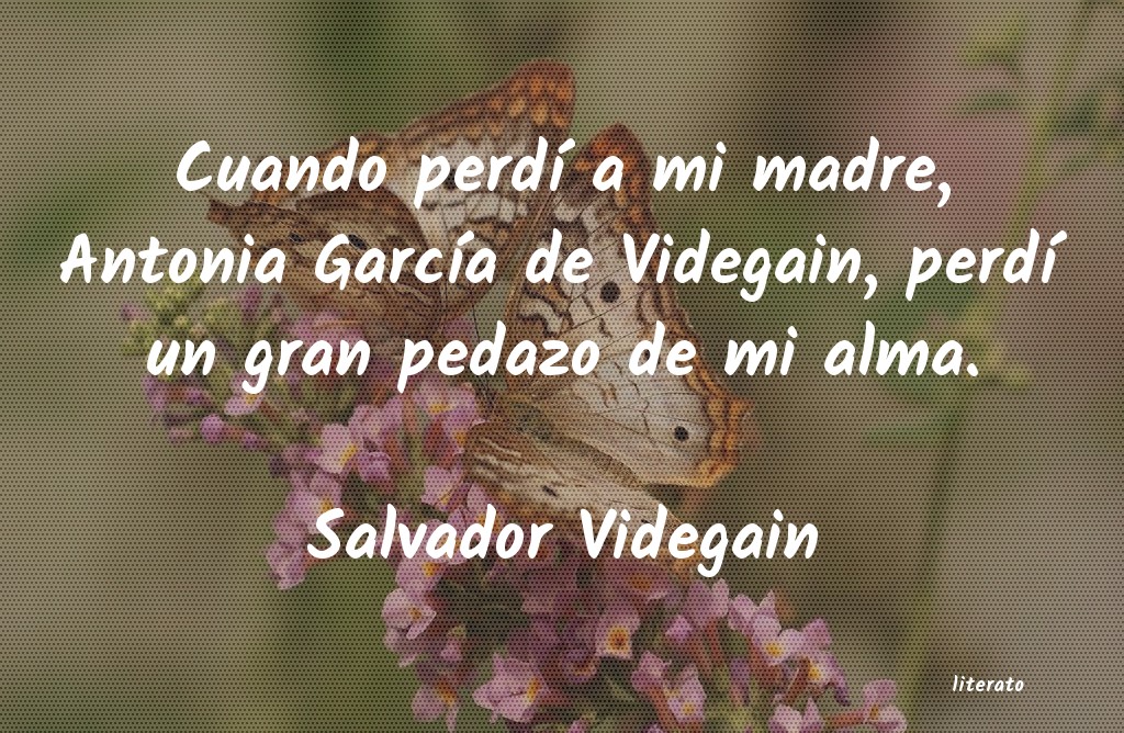 Frases de Salvador Videgain