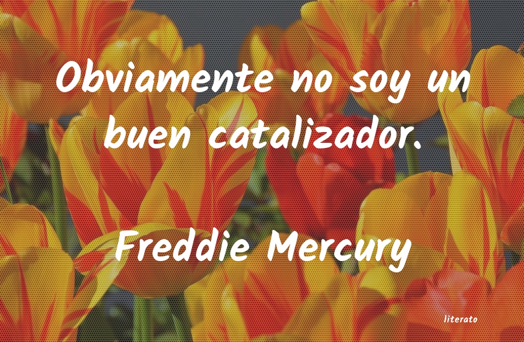 Frases de Freddie Mercury