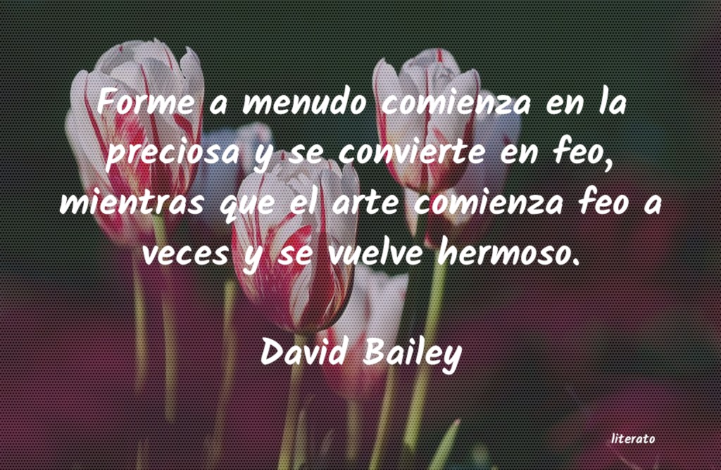 Frases de David Bailey